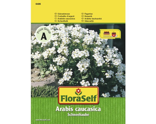 Arabette du Caucase 'Schneehaube' FloraSelf semences stables graines de fleurs