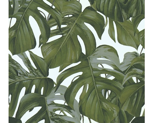 Papier peint intissé 36519-3 Michalsky 3 - Dream Again feuilles de philodendron