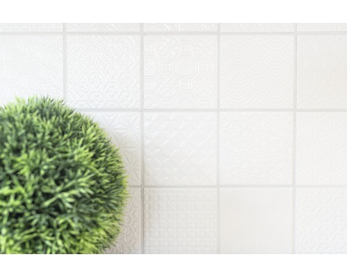 Carreaux clairs à motifs et plante en pot