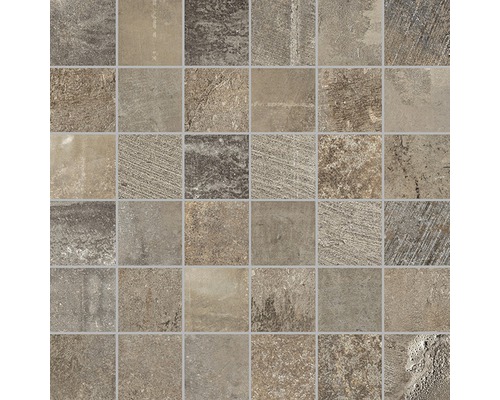 Carrelage mosaïqueBoldstone beige/brun 30x30 cm Carreaux de mosaïque avec surface mate