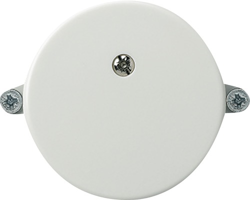 Blindabdeckung Ø 43mm weiss Deckel für Gerätedose mit Schrauben