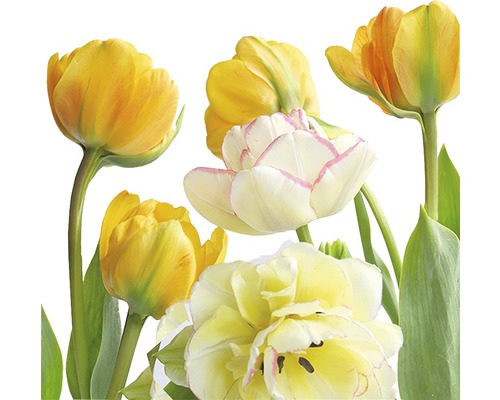 Serviette Soft Tulips 33x33 cm 20 Stk