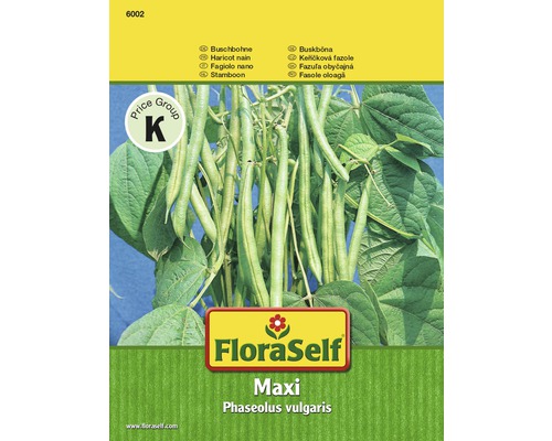 Haricot nain 'Maxi' FloraSelf semences stables semences de légumes