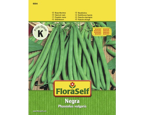 Haricot nain 'Negra' FloraSelf semences stables semences de légumes