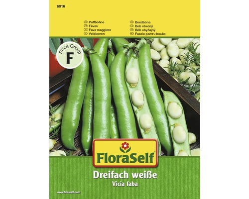 Puffbohne 'Dreifach weisse' FloraSelf samenfestes Saatgut Gemüsesamen