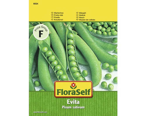 Markerbse 'Evita' FloraSelf samenfestes Saatgut Gemüsesamen