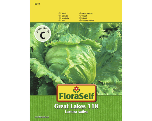 Laitue iceberg 'Great Lakes 118' FloraSelf semences stables semences de salade