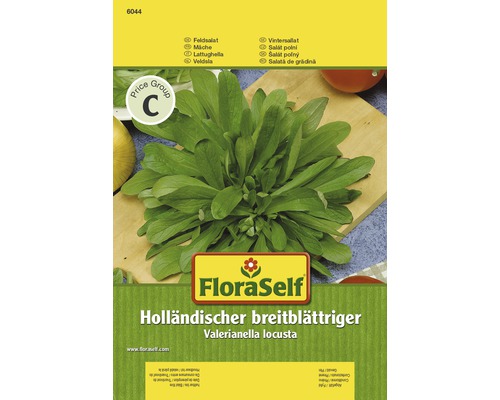 Feldsalat 'Holländischer breitblättriger' FloraSelf samenfestes Saatgut Salatsamen