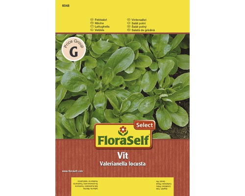 Feldsalat 'Vit' FloraSelf Select samenfestes Saatgut Salatsamen