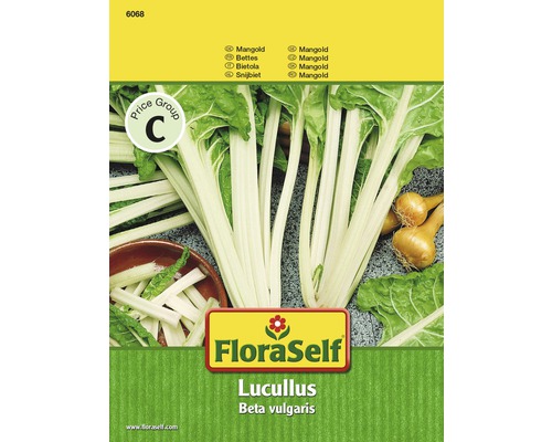 Blette 'Lucullus' FloraSelf semences stables semences de légumes