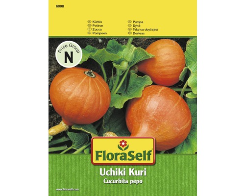 Graines de potiron 'Uchiki Kuri' FloraSelf Hybride F1