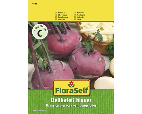 Kohlrabi 'Delikatess blauer' FloraSelf samenfestes Saatgut Gemüsesamen