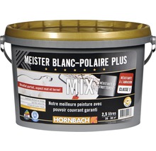Peinture murale Meister blanc polaire Plus dans le coloris souhaité 2.5 l