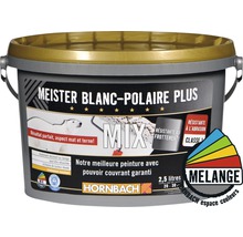 Peinture Meister Polarweiss Plus en seau de 2,5 litres