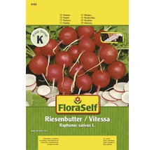 FloraSelf Riesenbutter/Vitessa Radieschen Samenpackung