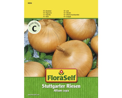 Oignon 'Stuttgarter Riese' FloraSelf semences stables semences de légumes