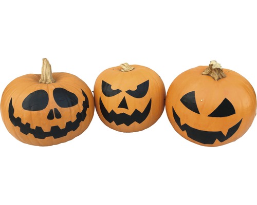 Trois citrouilles d''Halloween avec des visages sculptés