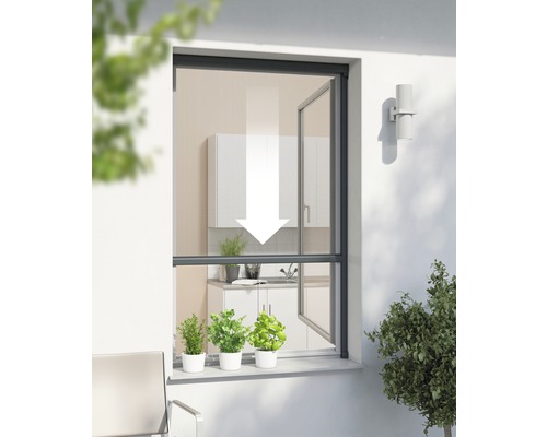 Moustiquaire Windhager PLUS store de fenêtre anthracite sur mesure (max. 130x160 cm)