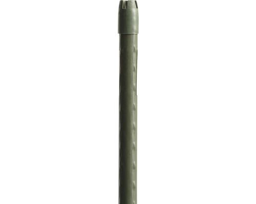Pflanzstab FloraSelf® 120 cm, grün