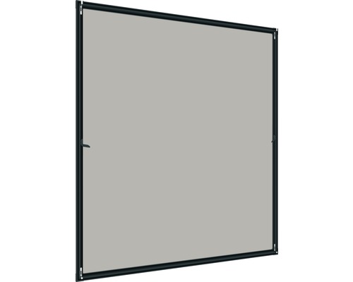 Moustiquaire Windhager pour fenêtre sans perçage anthracite sur mesure (max. 160x160 cm)