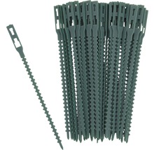 Lien pour plantes FloraSelf 14 cm 50 unités