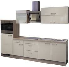 Cuisine équipée avec four encastrable, hotte aspirante, évier et plaque de cuisson