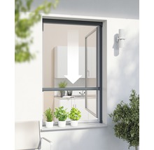 Insektenschutz-Rollo-Fenster PLUS ohne Bohren anthrazit 160x160 cm