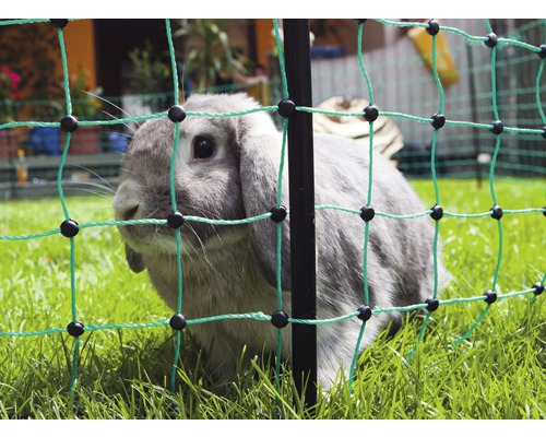 Filet à lapin, pointe individuelle 12 m x 65 cm vert