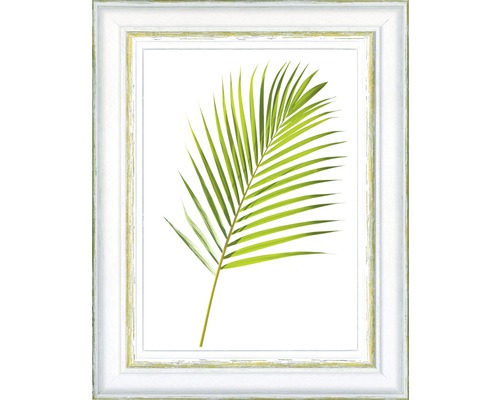 Cadre en bois Duran vert 35x50 cm