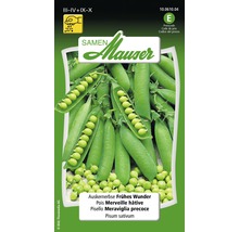 Samen Mauser ''Frühes Wunder'' sachet de graines de pois