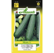 Paquet de graines de cornichon Selma-Casa