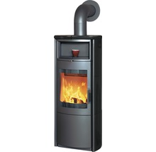 Poêle à bois avec feu de bois et hublot