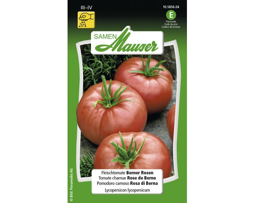 Tomate Berner Rosen Gemüsesamen Samen Mauser