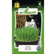 Semences Mauser paquet d''herbe à chat avec image de chat
