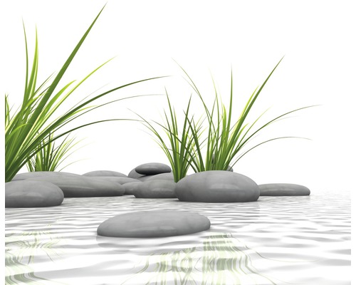 Dekorative Steine und Gräser in Wasserdarstellung