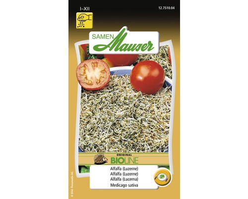 BIO - Speise Keimlinge Alfalfa Gemüsesamen Samen Mauser