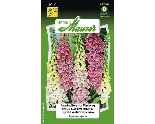 Digitale Excelsior mélange Graines de fleurs Samen Mauser