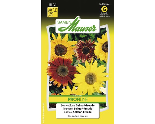 Sonnenblume Selma-Freude Blumensamen Samen Mauser