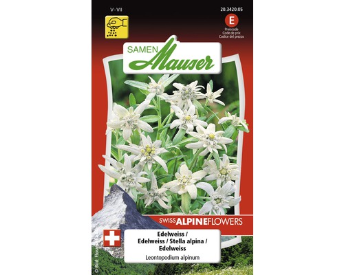Edelweiss Graines de fleurs Samen Mauser