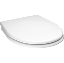Toilettendeckel aus Sanitärkeramik
