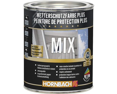 Wetterschutzfarbe Plus Farbmischdose