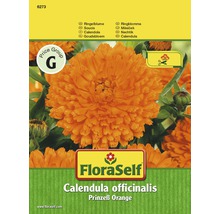 FloraSelf Calendula officinalis Prinzeß Orange Sachet de graines