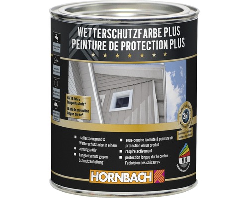 Boîte de peinture de protection contre les intempéries Plus de Hornbach