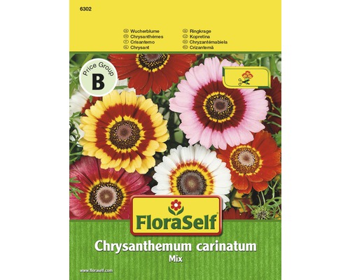 Sachet de graines FloraSelf Chrysanthemum carinatum mélangé
