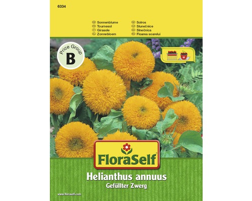 Sonnenblume 'Gefüllter Zwerg' FloraSelf samenfestes Saatgut Blumensamen