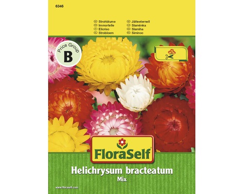 Helichrysum 'Mix' FloraSelf semences stables graines de fleurs