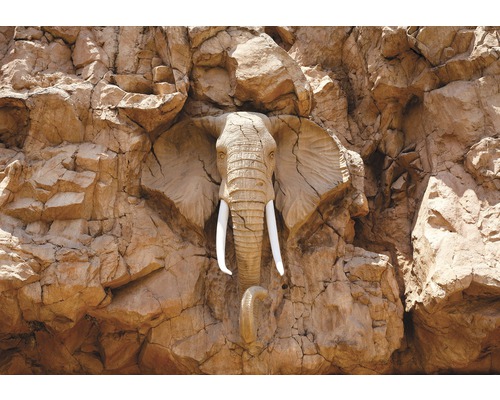 Papier peint photo papier Steinwand Elefant bronze eiche 254 x 184 cm