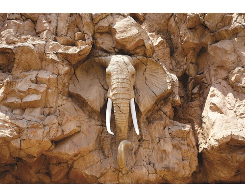 Papier peint photo papier Steinwand Elefant bronze eiche 254 x 184 cm Élément décoratif tête d''éléphant dans paroi rocheuse