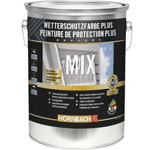 Farbe Wetterschutzfarbe Plus im Farbeimer