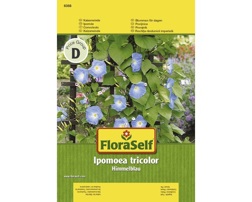 Packung Trichterwinde ''Himmelblau''